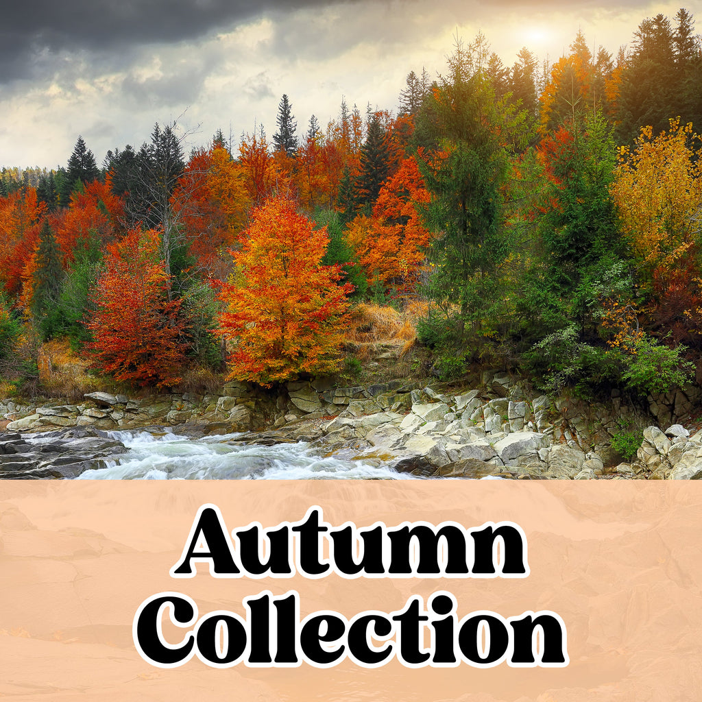 "Autumn Collection"