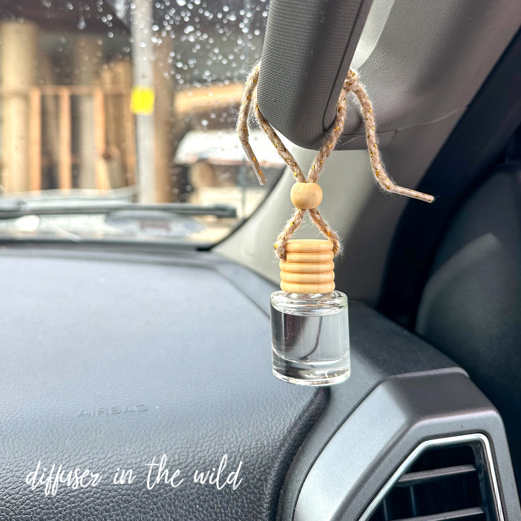 Car diffuser with hanging in car