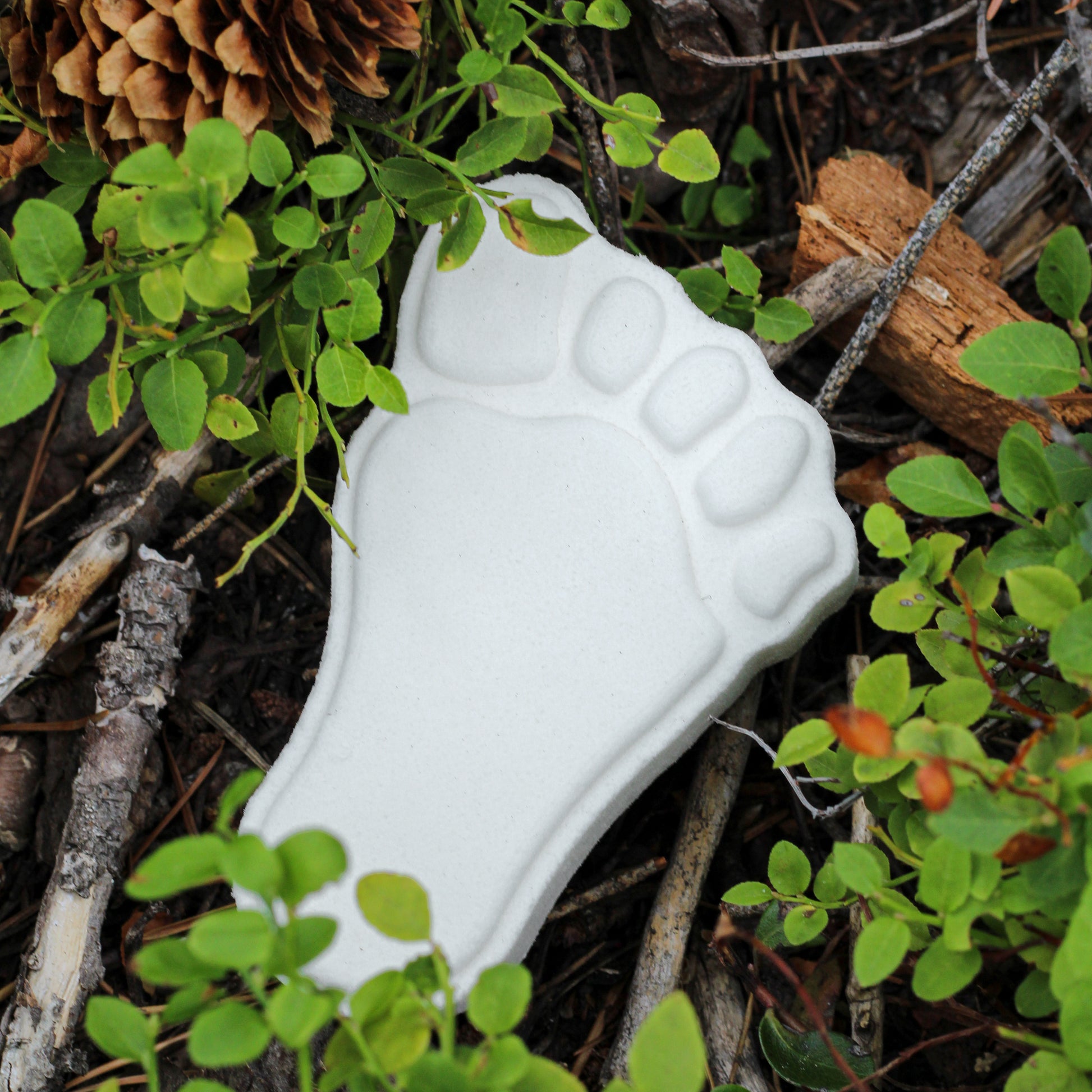 Bigfoot Footprint Bath Bomb by Missouri River Soap nestled among greenery and pinecones on the forest floo