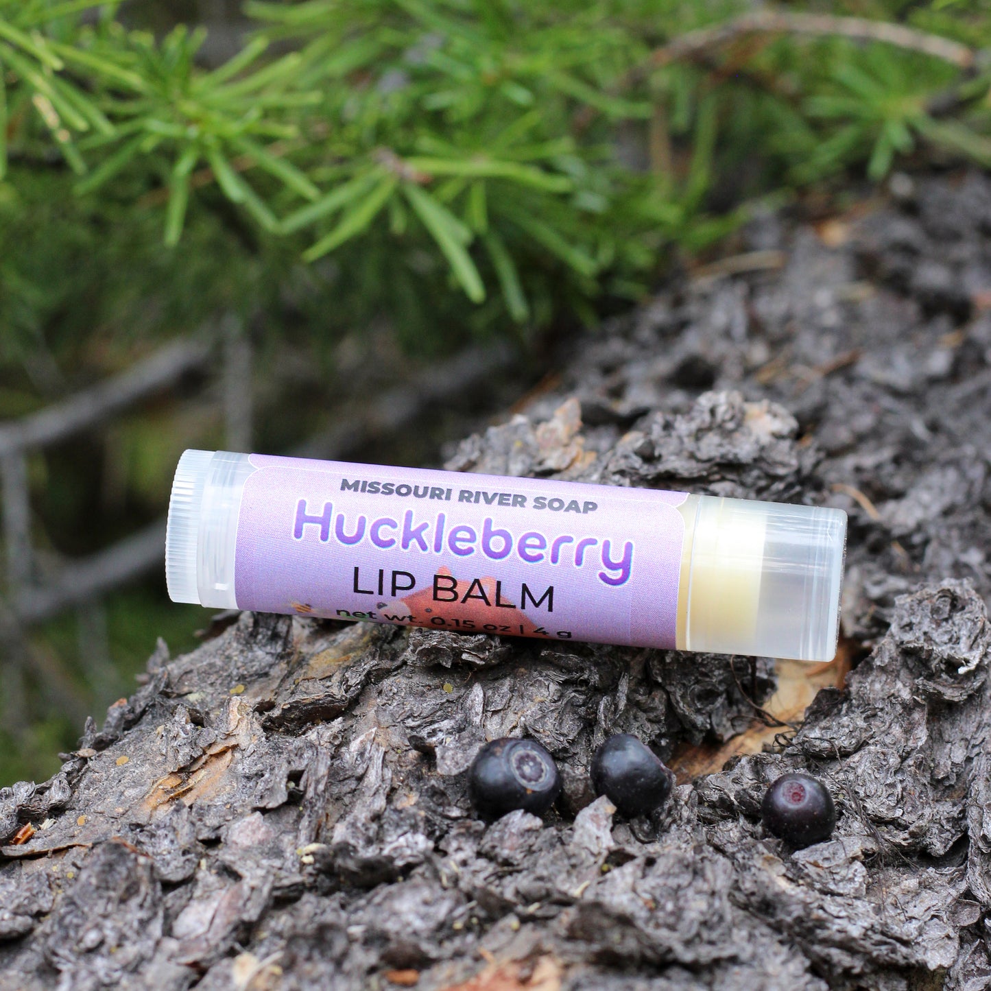 Huckleberry Lip Balm by Missouri River Soap photographed outdoors with huckleberries and evergreen branches