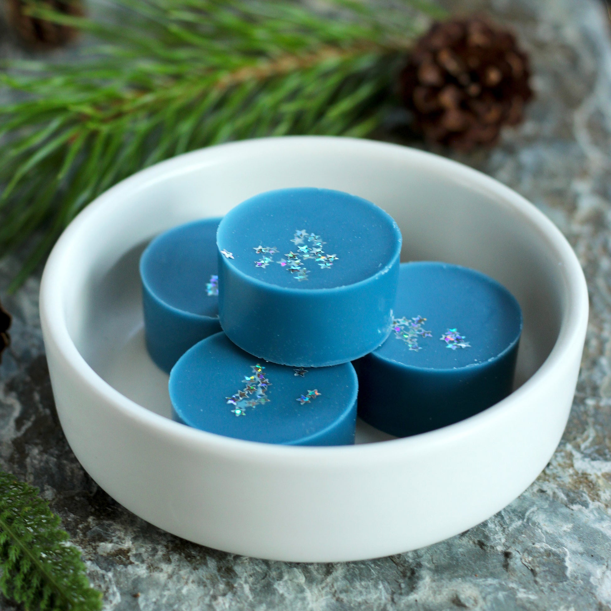 Missouri River Soap Stargazing wax melts featuring four deep blue wax melt discs with iridescent star glitter, displayed in a white ceramic dish on a stone surface with evergreen sprigs and pinecones.
